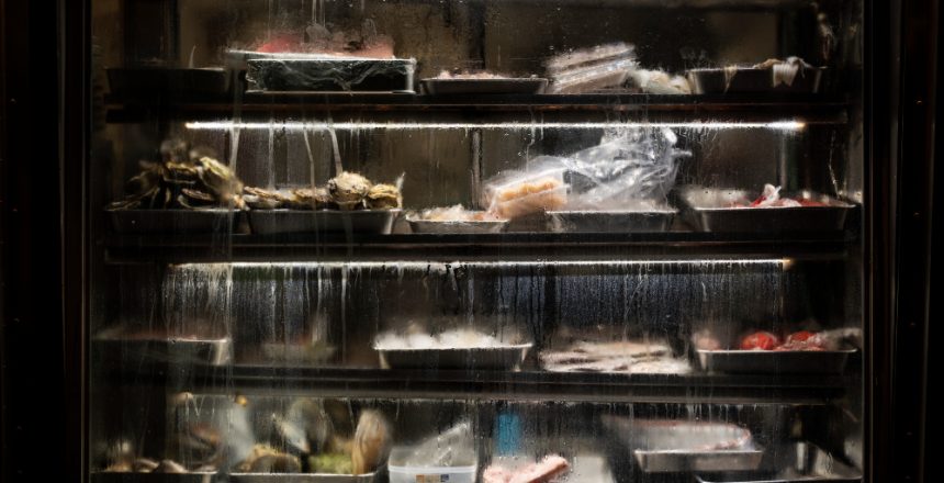 alimentos